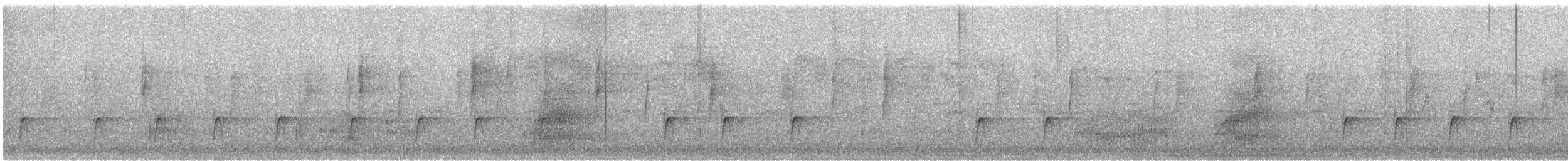 Greater Pewee - ML646937408