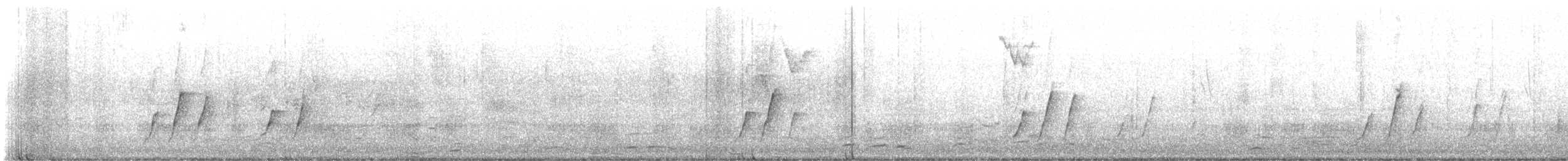 Curve-billed Thrasher - ML646938342