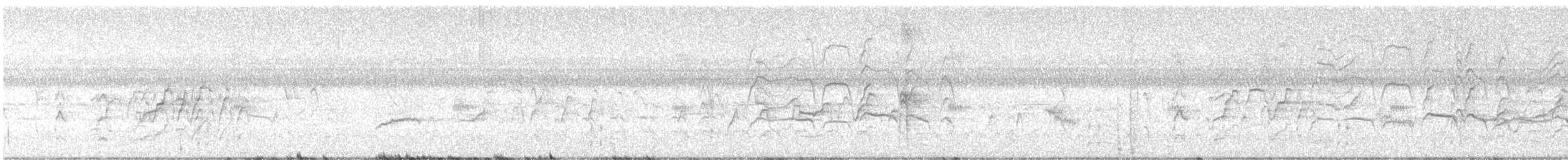 Black-bellied Whistling-Duck - ML646938433