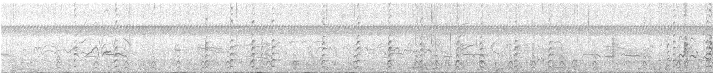 Black-necked Stilt - ML646938443