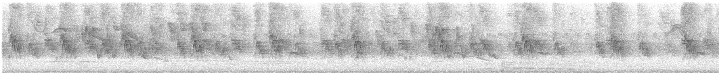 Gorrión Común - ML646939322