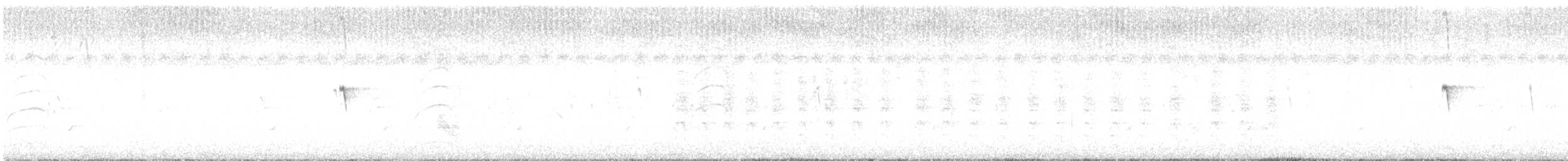 Феб чорний - ML646939967