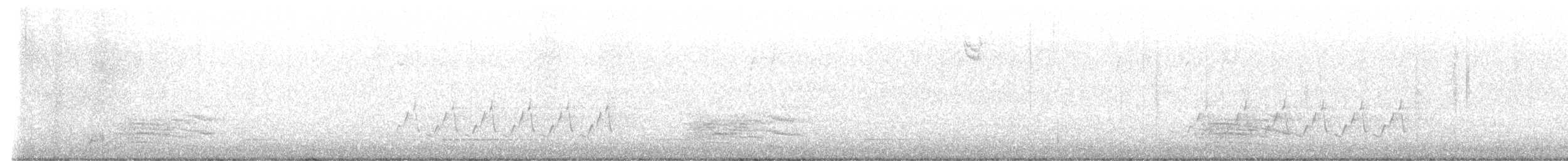 Gri Kedikuşu - ML646940514