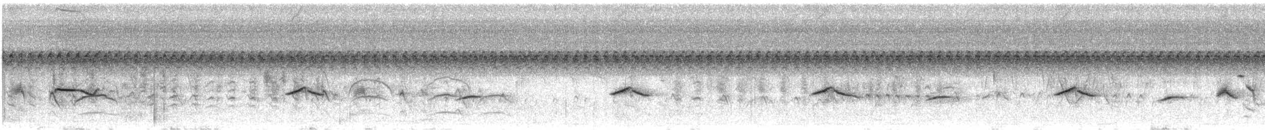 Ibera Seedeater - ML646941088