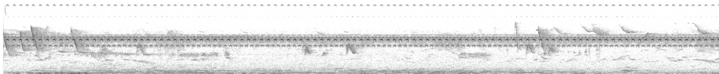 Желтобрюхая эления - ML646941483