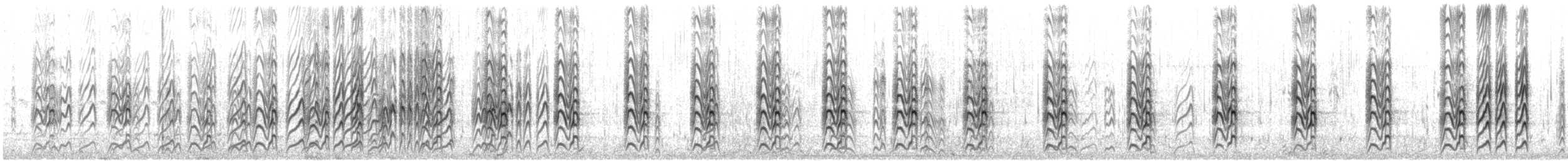 rybák australský - ML646941628