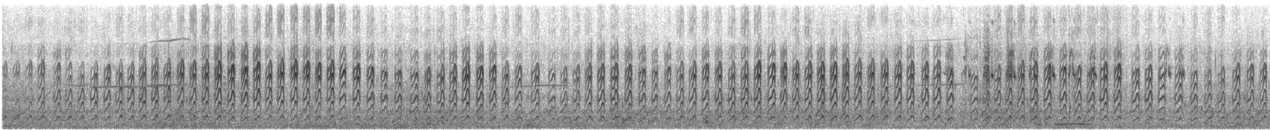 rybák australský - ML646941629