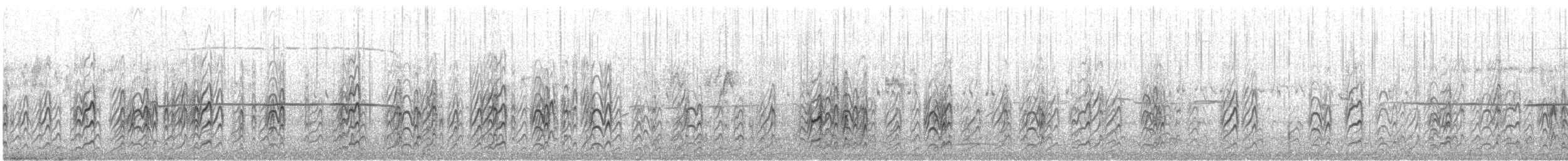 rybák australský - ML646941630