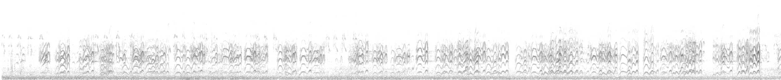 rybák australský - ML646941631