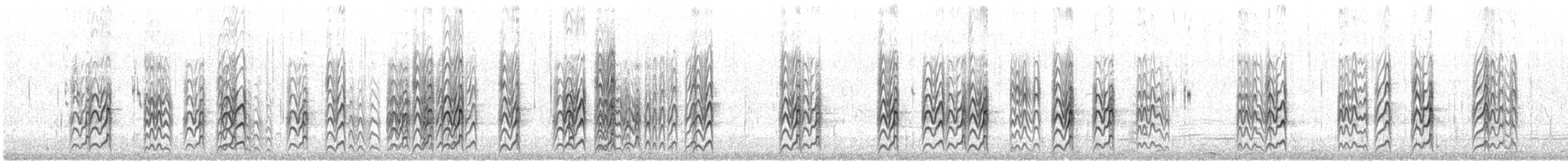 rybák australský - ML646941632