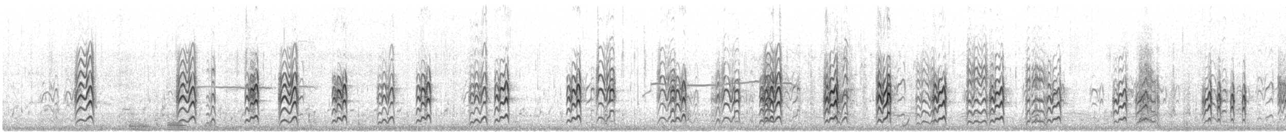 rybák australský - ML646941633