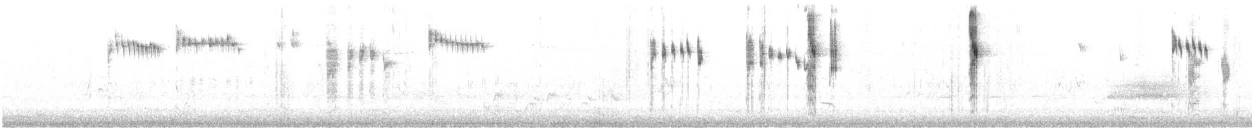 Splendid Fairywren - ML646941673