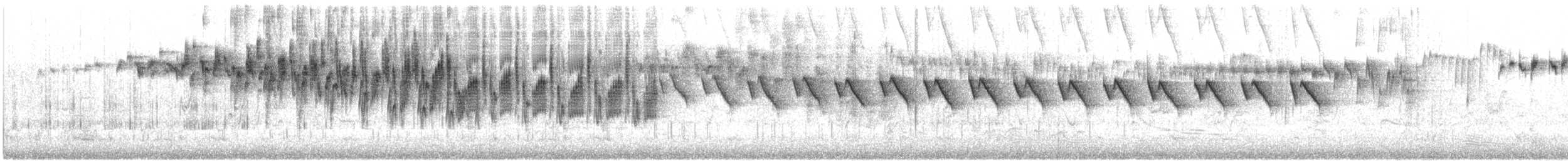 Splendid Fairywren - ML646941674