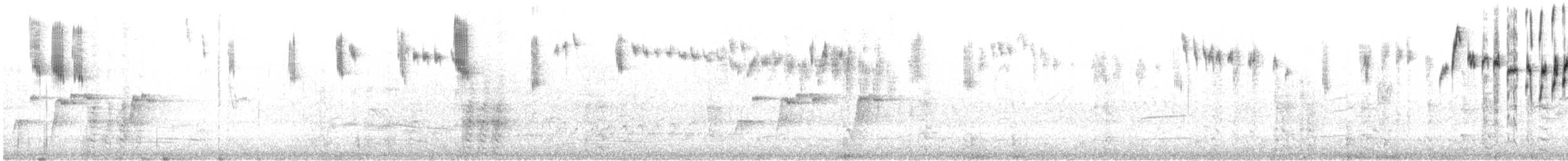 Splendid Fairywren - ML646941675