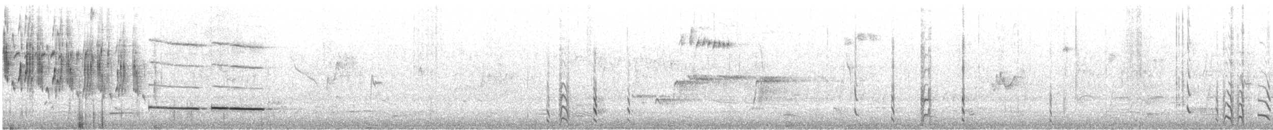 Australian Ringneck (Port Lincoln) - ML646941707