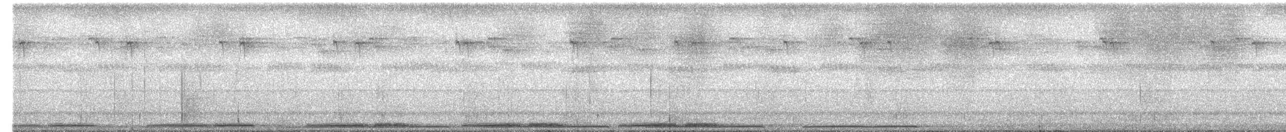 Marbled Frogmouth (Plumed) - ML646941720