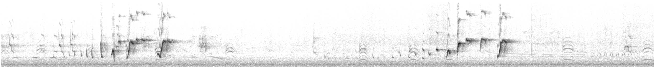 Willie-wagtail - ML646941728