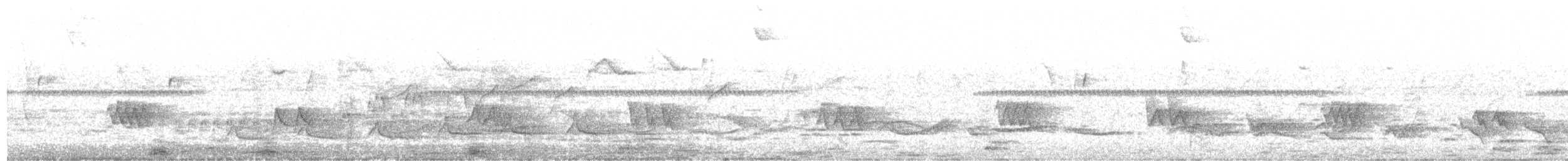 Ласточкохвостый манакин - ML646941738