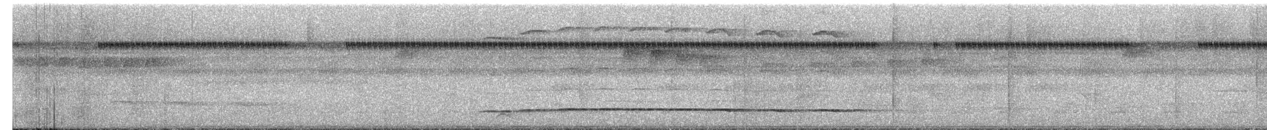 Streak-chested Antpitta - ML646941993