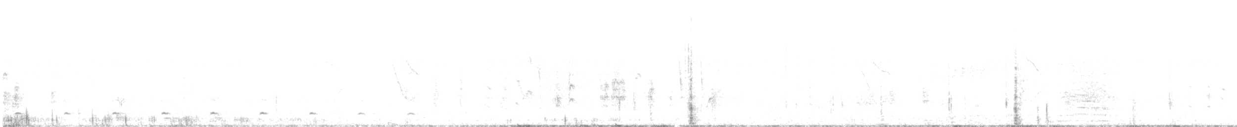 Brasilzwergkauz - ML646942471