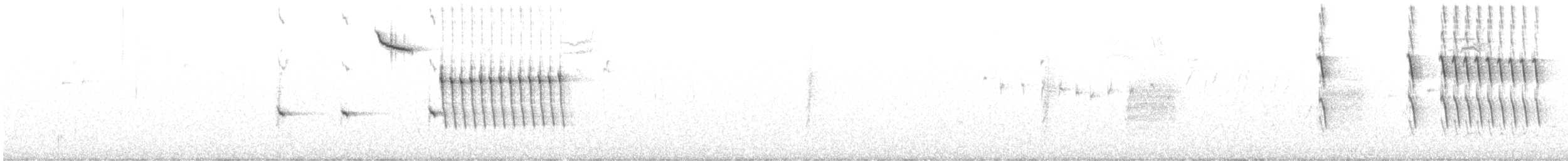 Chingolo Alirrufo - ML646942562