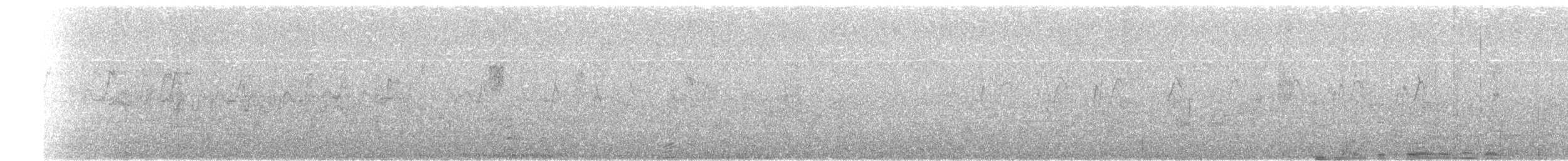 Vencejo Acollarado - ML646942917