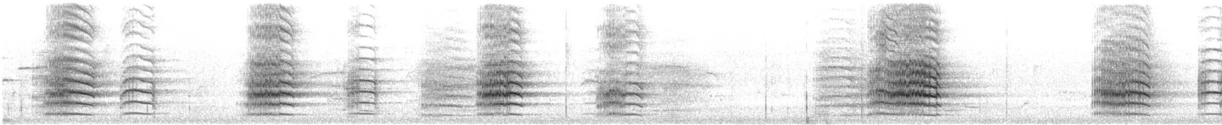 Red-tailed Black-Cockatoo - ML646943596