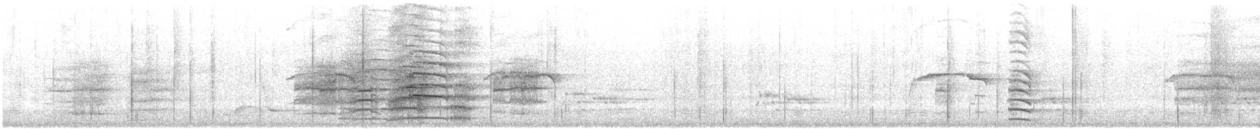 Red-tailed Black-Cockatoo - ML646943608