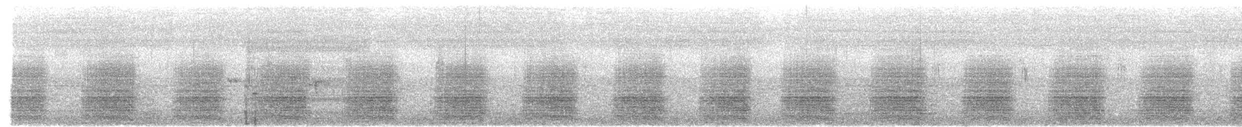 Yellow-tailed Black-Cockatoo - ML646944205