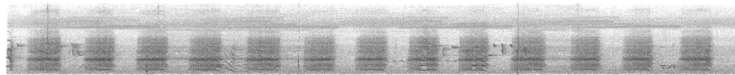 Yellow-tailed Black-Cockatoo - ML646944211