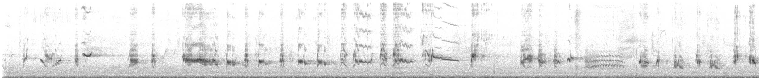 California Thrasher - ML646944924