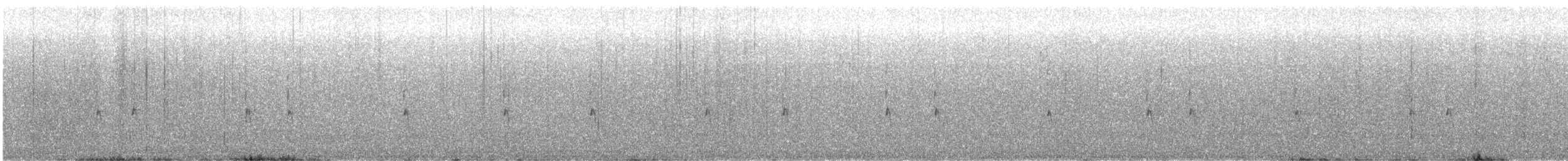 střízlík kanadský - ML646945359