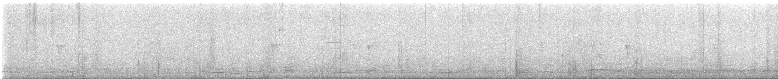 White-breasted Nuthatch - ML646946319