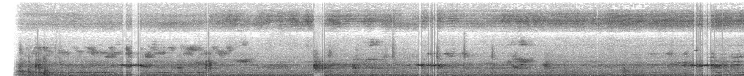 Silvereye - ML646946617