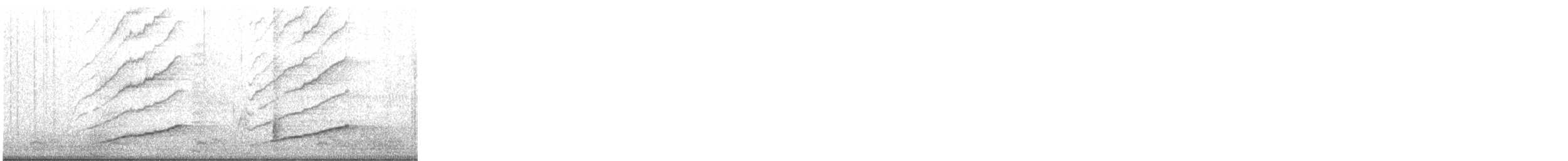 Great-tailed Grackle - ML646946874