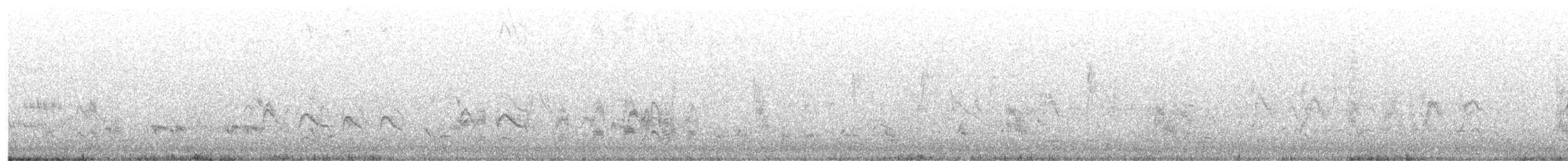 Cassin's Kingbird - ML646946956