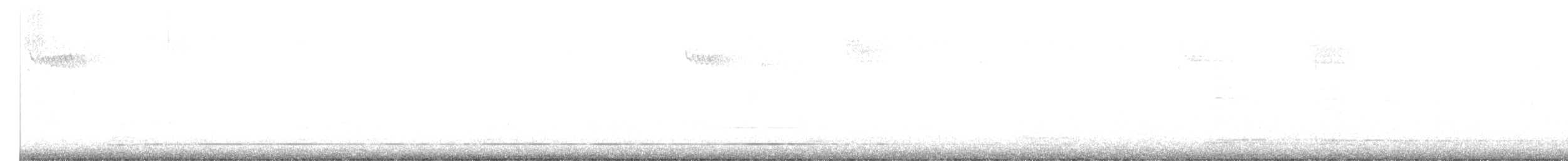 Brown Creeper - ML646947564