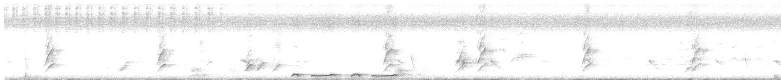 Bar-shouldered Dove - ML646947630