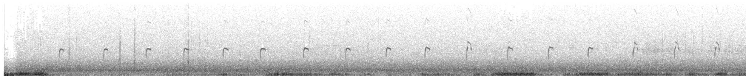 Spotted Sandpiper - ML646947657