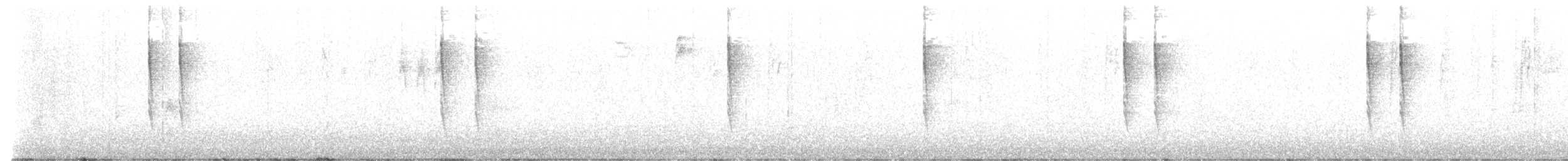 Pacific Wren - ML646947765