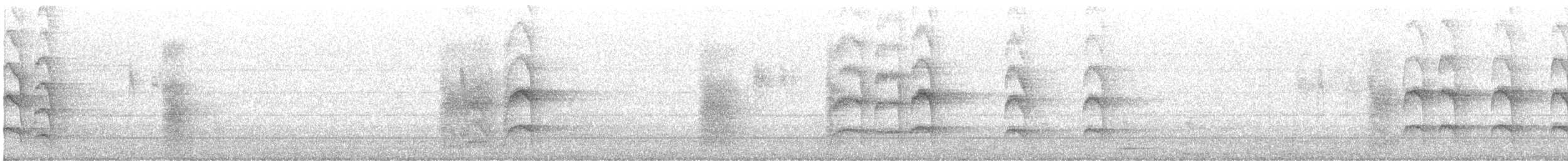 Jungle Babbler - ML646947792