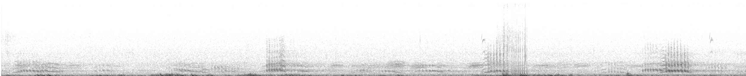 Chihuahuan Raven - ML646947899