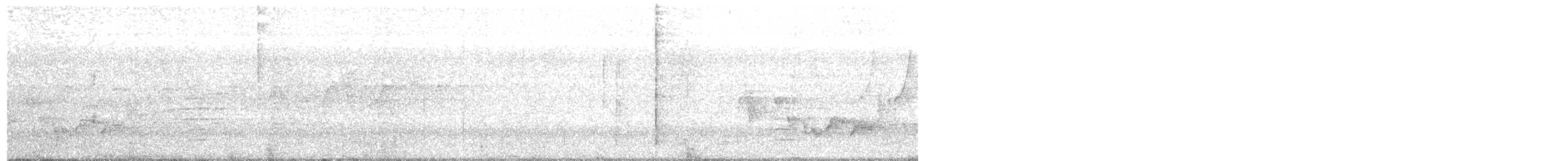 White-eyed Vireo - ML646949352