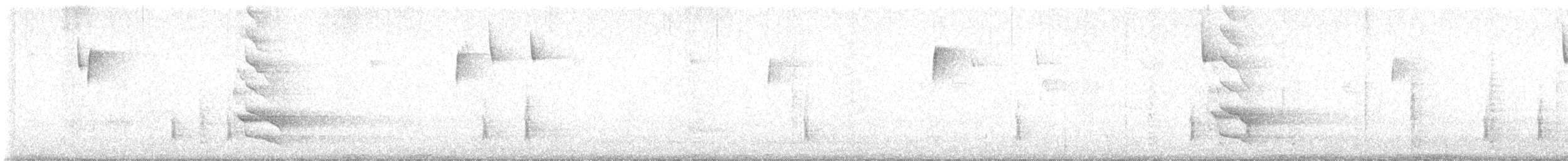 eremittskogtrost - ML646949412