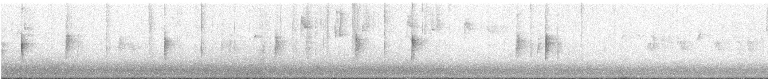 Kronenwaldsänger (coronata) - ML646950221