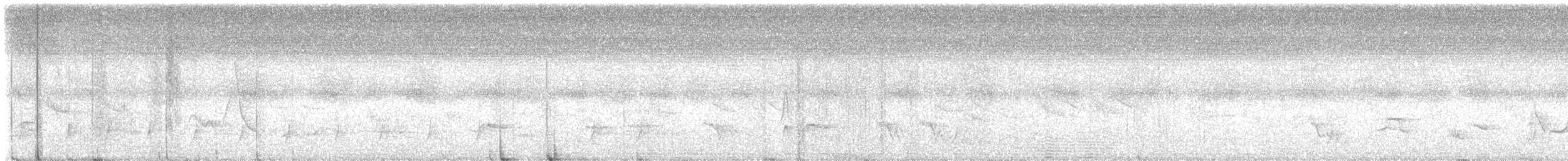 Copetón Tiranillo - ML646950352