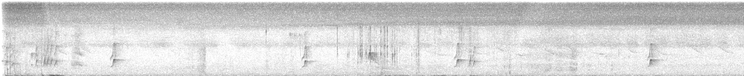 Copetón Tiranillo - ML646950353