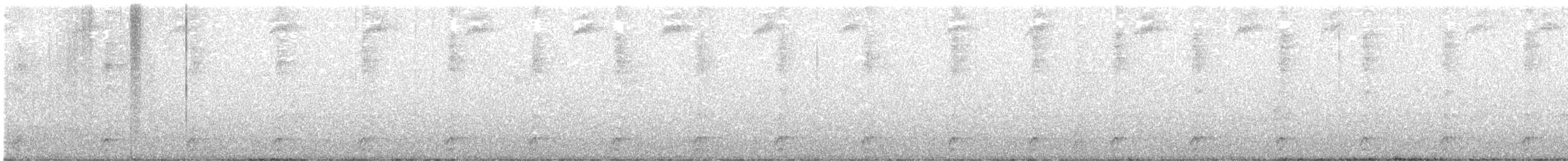 Weißkehlarassari - ML646950638