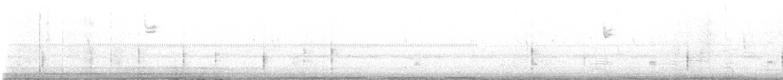 King Rail - ML646951266