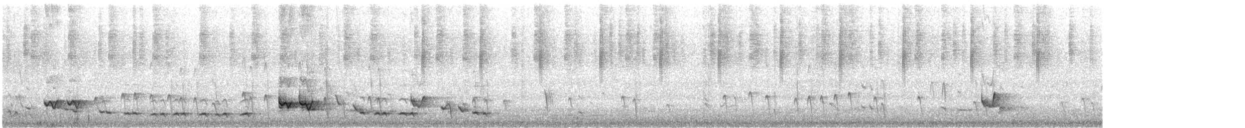 Singing Honeyeater - ML646951601